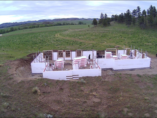 Renner Livestock 2